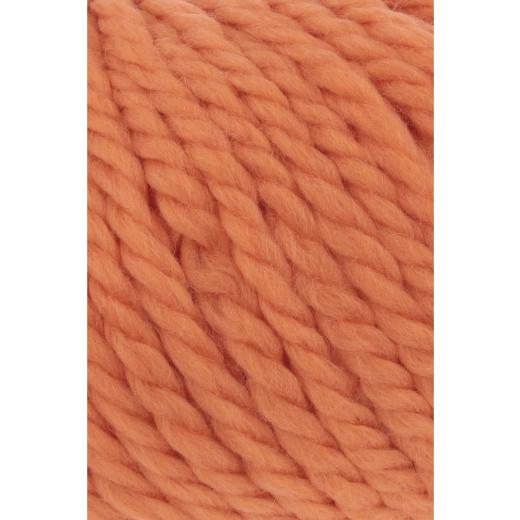 Wooladdicts Fire Lang Yarns - Pumpkin