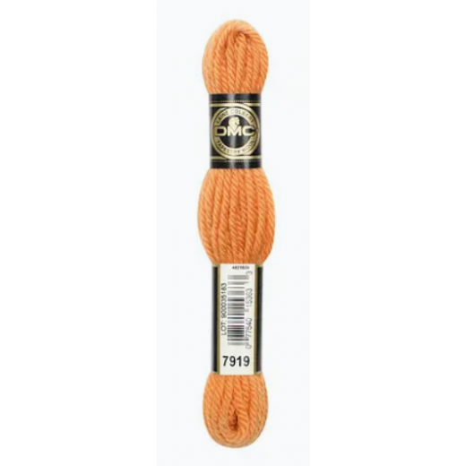 DMC Laine Colbert Gobelinwolle - 7919 kupferorange