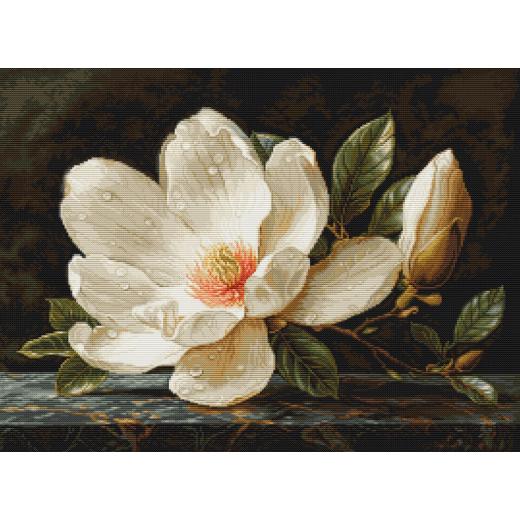 Luca-S - The Magnolia Dew - Petit Point