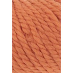 Wooladdicts Fire Lang Yarns - Pumpkin