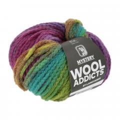 Wooladdicts Mystery Lang Yarns - multicolour