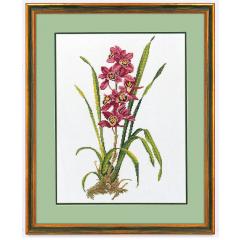 Eva Rosenstand Stickpackung - Rote Orchideen