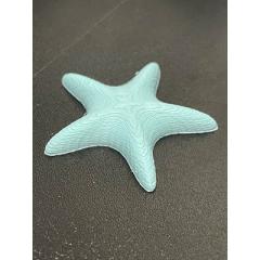 Needle Minder - Starfish