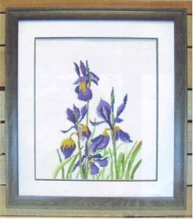 Stickpackung Oehlenschläger - Iris 34x39 cm