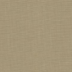 Zweigart Newcastle 40ct - hellkhaki (Meterware)