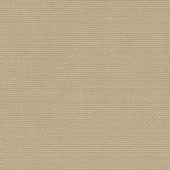 Zweigart Fein-Aida 18ct - Farbe 309 beige (Meterware)