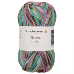 Bravo Color Schachenmayr - Mineral Jacquard Color (02083)