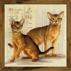 Riolis Stickpackung - Abyssinian cats