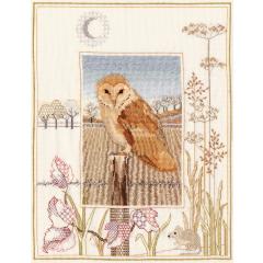 Derwentwater Designs - Wildlife - Barn Owl