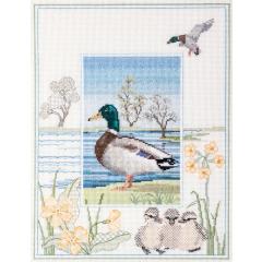 Derwentwater Designs - Wildlife - Mallard