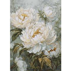 Luca-S - The Light of Spring Peonies