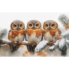 Luca-S Stickpackung - Owls in The Silence of Winter