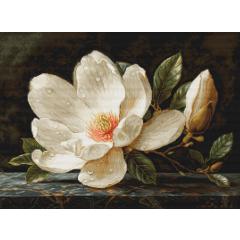 Luca-S - The Magnolia Dew - Petit Point