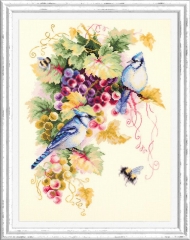 Magic Needle Stickpackung - Blue Jay and Grapes