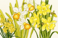 Bothy Threads Stickpackung - Daffodil Blooms